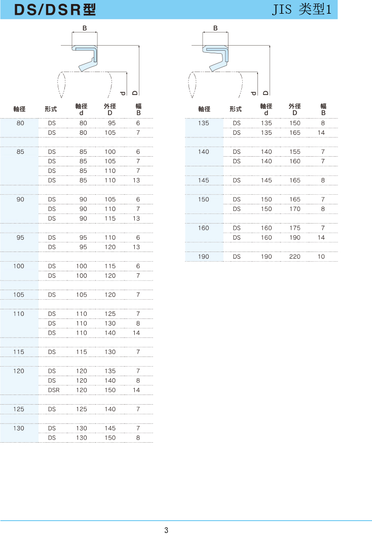 NDK油封 DS/DSR型規格表